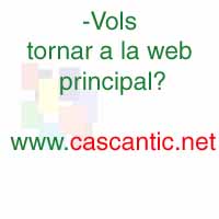 Enllaa amb la pgina WEB del CASC ANTIC